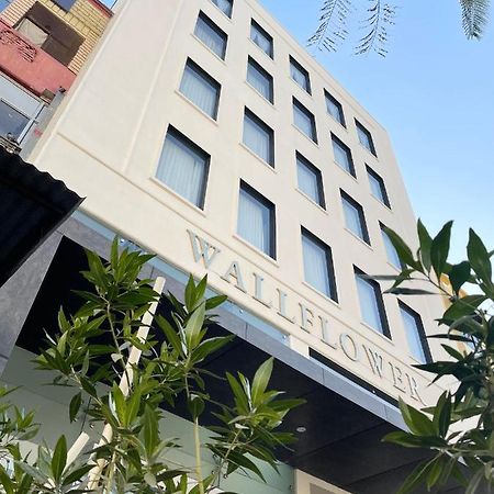 The Wallflower Hotel Kota  Ngoại thất bức ảnh